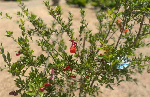 Aegean Endless Summer Villa Pefkos - Foto 30