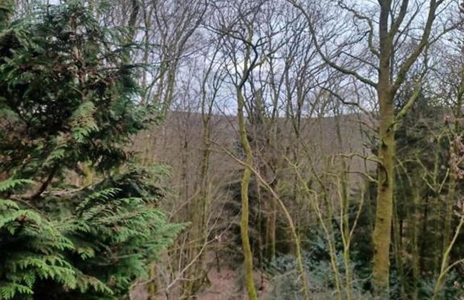 Chalet Vogelzang in the Ardennes - Foto 27