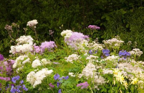 Clonaslee House - Foto 32