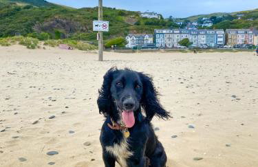 Sanderling, 289 Ynyslas Beach, Borth - Foto 34