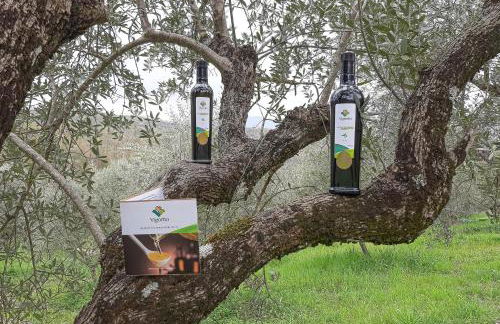 Agriturismo CuoreLieto del Cilento - Foto 14