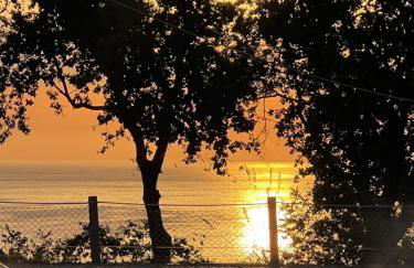 Relais Il Giardino fra gli Ulivi - Foto 1