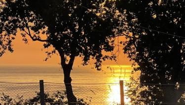 Relais Il Giardino fra gli Ulivi - Foto 1