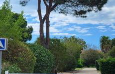 La Frégate entre Plage et Centre Ville - Photo 26