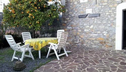 Alloggio Ulivo - Foto 2, Garden view