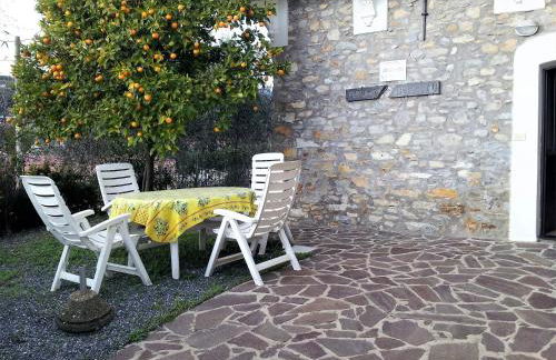 Alloggio Ulivo - Foto 2