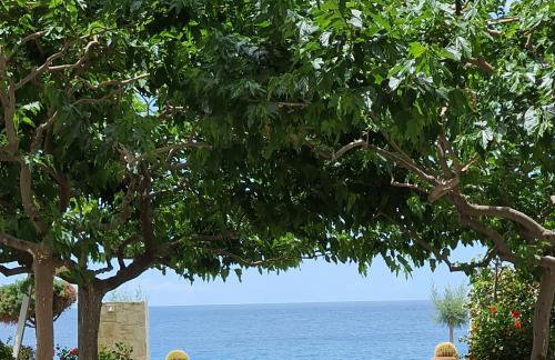 Eirini Apts On the beach - Foto 1