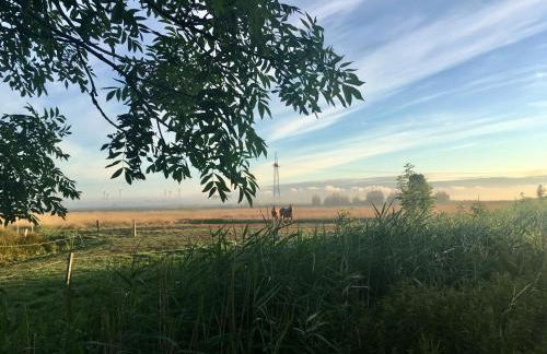 Zum alten Dorfbrunnen - Foto 21