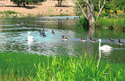 Stables 2bed farm stay private firepit bbq - Foto 27