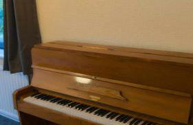 Y Fedw Wen - Foto 19