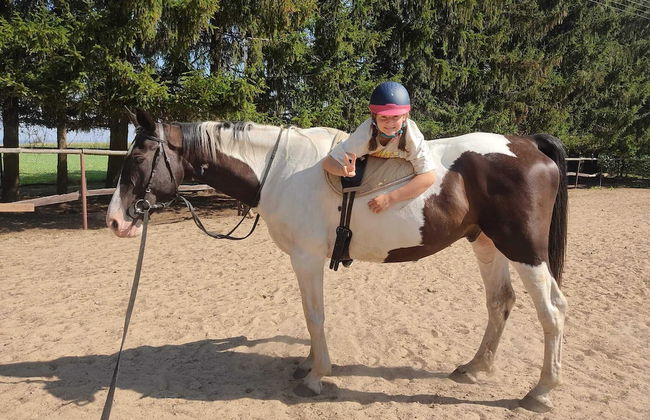agroturystyka Kurnik Polski - Foto 10