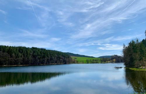 Lindners Hideaways - Gutshof Pine Retreat - Sauna - In Villa - Terrasse - Garten mit Rehgehege - Frühstück verfügbar - SKI - Arber - Osser - bis 5 Pers - Photo 41