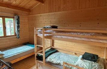 Butelkowa Zieleń - Foto 33