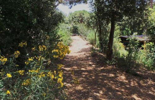 Pergola Suite - Boutique Retreat Loft Barcelona Coast Panoramic Sea View - Foto 58