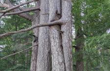 Casa Nonna Rosaria - Foto 8