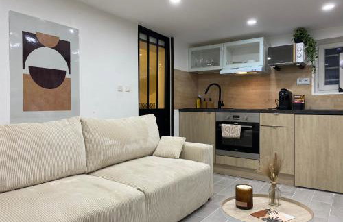 Appartement T2 cosy (aéroport - parc des expo - parc Astérix) - Foto 2