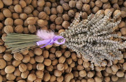 Noz Por Cá... Turismo Em Espaco Rural - Foto 1