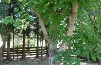 Holiday Home "Iris" near Plitvice Lakes - Foto 45