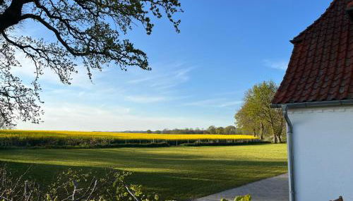 Landhaus an der Schlei - Foto 5, Garden view