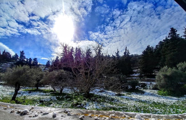 Thymes Traditional House - Foto 31