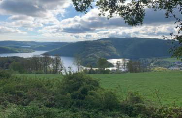 Berg Blick Eifler Bauernhaus modern restauriert - Photo 35