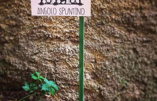 B&B Parini - Foto 83