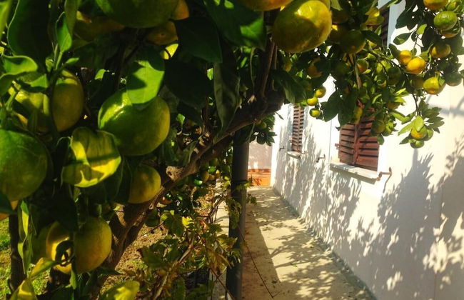 Schöne Ferienwohnung mit Terrasse, Roses - Foto 23
