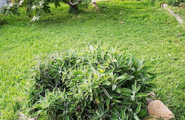 Holiday Home Amazing view - Foto 17