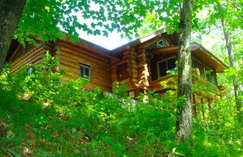 Custom-Built Family Cabin in Manistee National Forest, Michigan - Foto 11