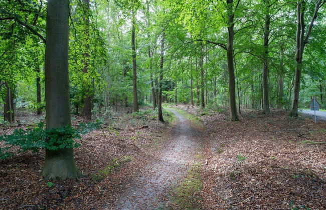 Cozy Forest-edge Home - Foto 38