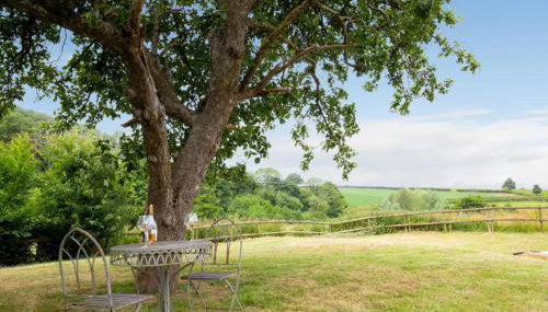Oak Barn, Ludlow - Foto 3, Garden, Garden view