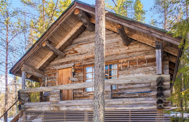 Retkietappi kelopirtti - Foto 1