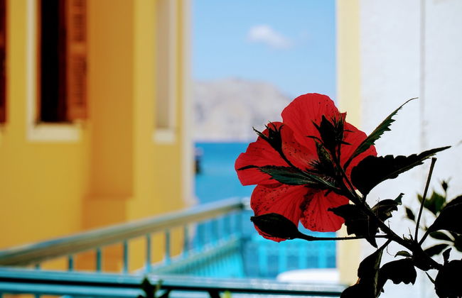 Marikas Deluxe Rooms - Foto 38