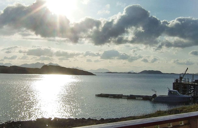 Holiday Home in Rebbenes - Foto 43