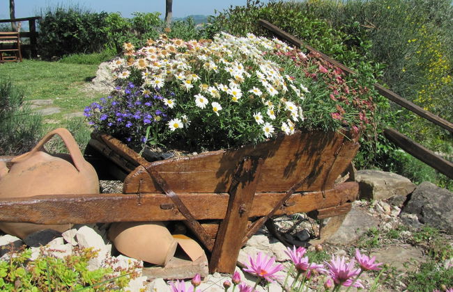 Old House - Photo 32