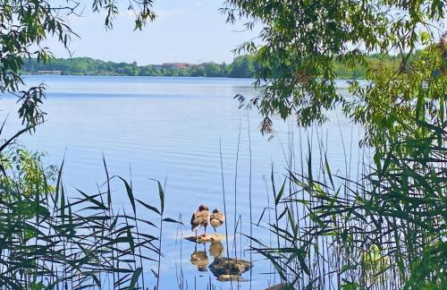 Das Sommerhaus - im Land der tausend Seen - Foto 21