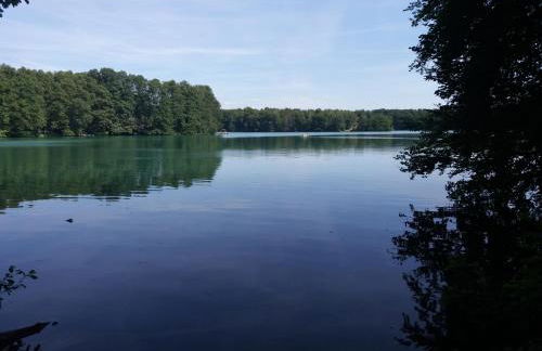 Ferienwohnung-Sonnenparadies-Wandlitz - Photo 3