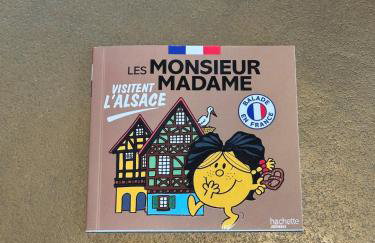 L'écrin d'Anne et Stéphane - vue sur Strasbourg - Foto 66