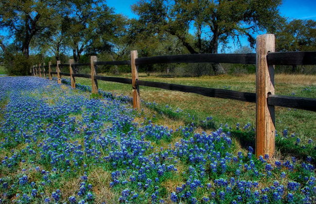 Visite à Texas Hill Country - Photo 6