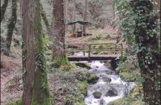 CASA CON FINCA PRIVADA - Foto 6