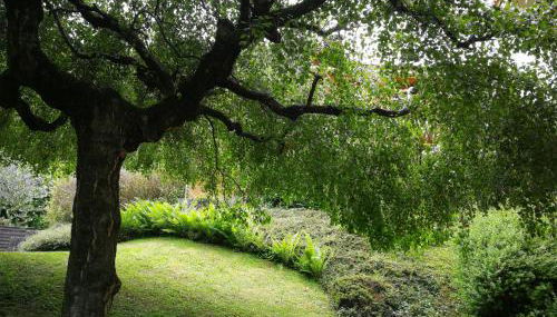 Bellagio Lake View Villa - Photo 2, Garden