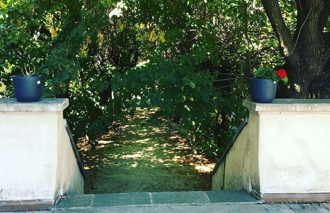 Tempologis - Chateau de la Rochette - Foto 79