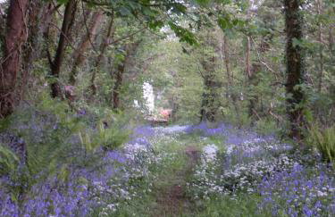 Priskilly Forest Country House - Foto 19