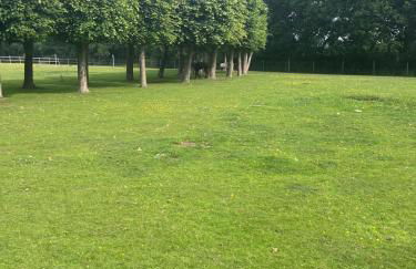 Romantic Luxury Cabin & Hot Tub near New Forest Dorset - Photo 6