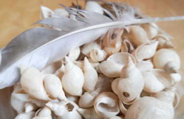 Ferienwohnung Bodensee Fisch - Foto 36