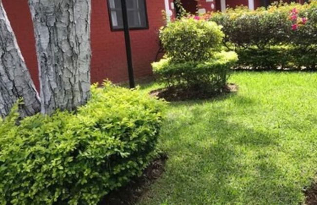 Bungalows La Huerta - Foto 38