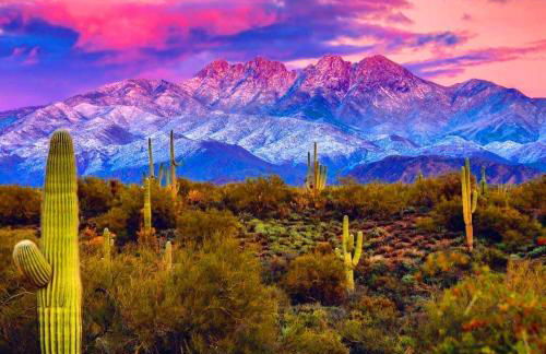 Rio Rancho Verde Two Bedroom Suite - Foto 16