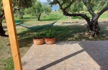 Robinson house Sea & olives - Photo 3