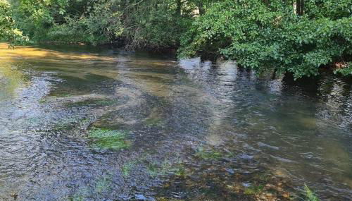 Gite La Vieille Ferme - Foto 5