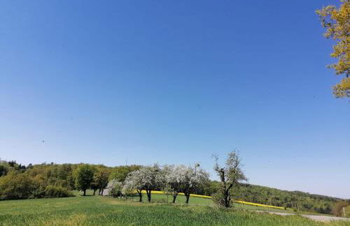 Dietlinds Apartment - Foto 5